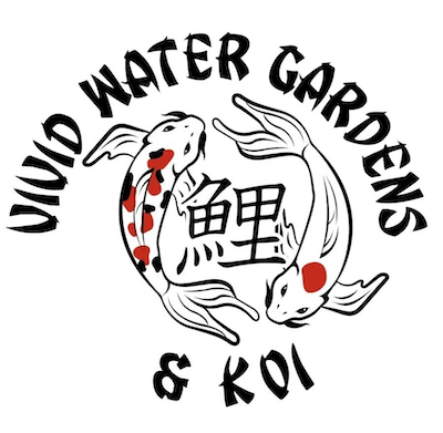 vivid-koi-ponds